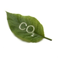 co2.jpg